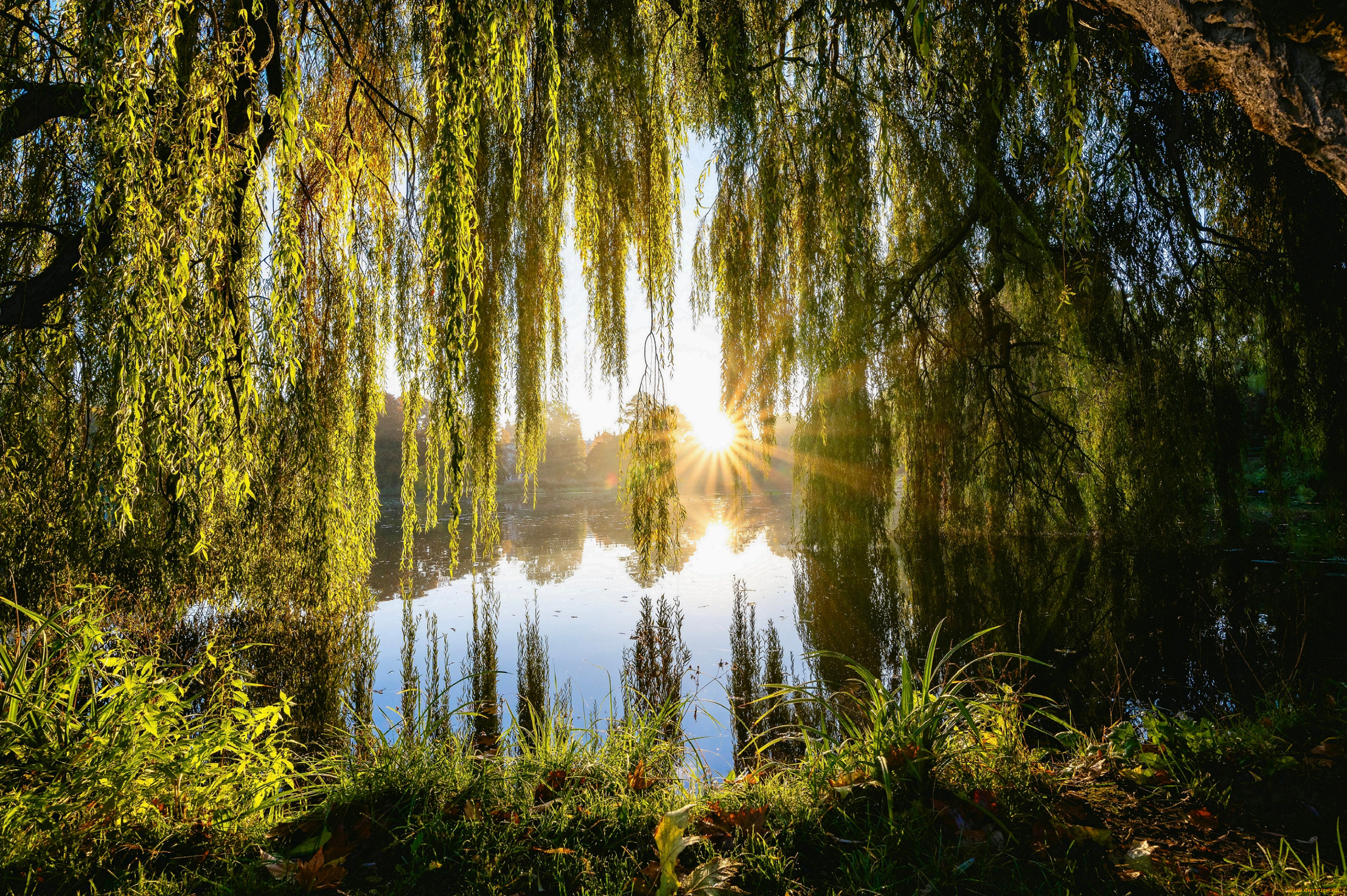 �������, ����, �����, ������